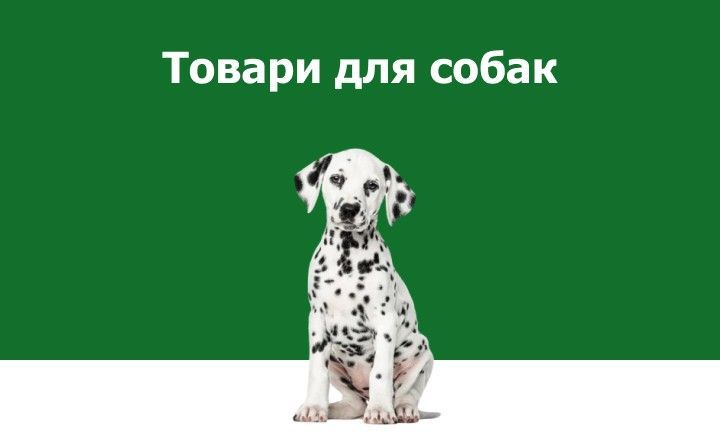 Товари для собак