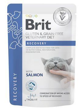Корм влажный Brit GF VD Recovery для кошек с лососем 85 г 101116_1 фото