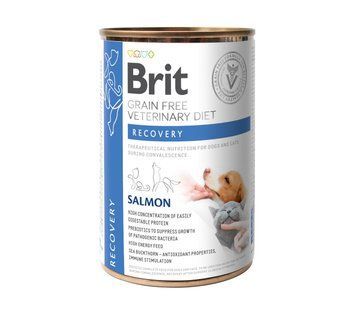 Влажный корм Brit GF VetDiets Recovery для собак и кошек, в период выздоровления, с лососем, 400 г 100291 фото